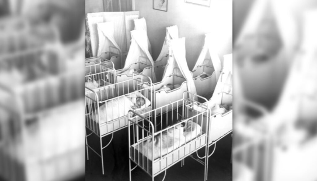 a94b04af-ee15-3d82-958a-99580f8d0eb4